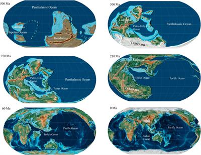 Editorial: Developments in the lithospheric evolution of the Indo-Pacific region